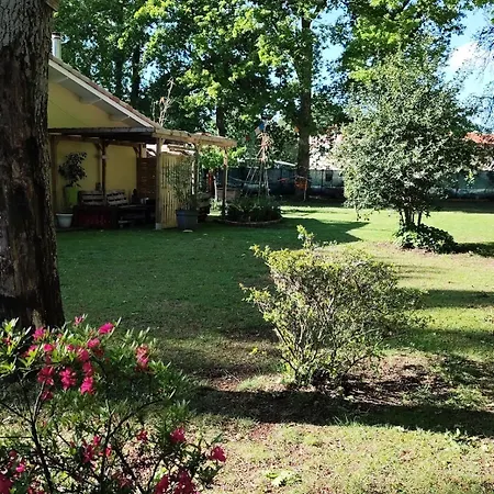 Maison Avec Jardin Sur Avec *
