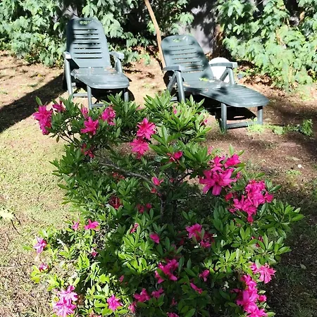 Maison Avec Jardin Sur Avec *